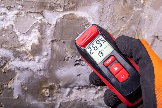 Best Crawl Space Mold Removal  in Woodworth, LA