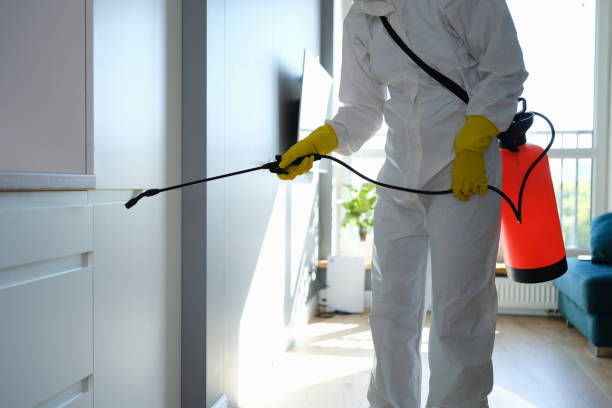 Best Mold Cleaning Services  in Woodworth, LA