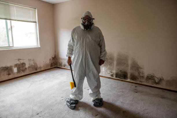 Best Mold Removal Specialists  in Woodworth, LA