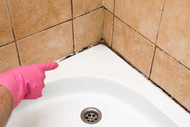 Best Certified Mold Removal  in Woodworth, LA